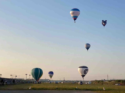 IMG_7374