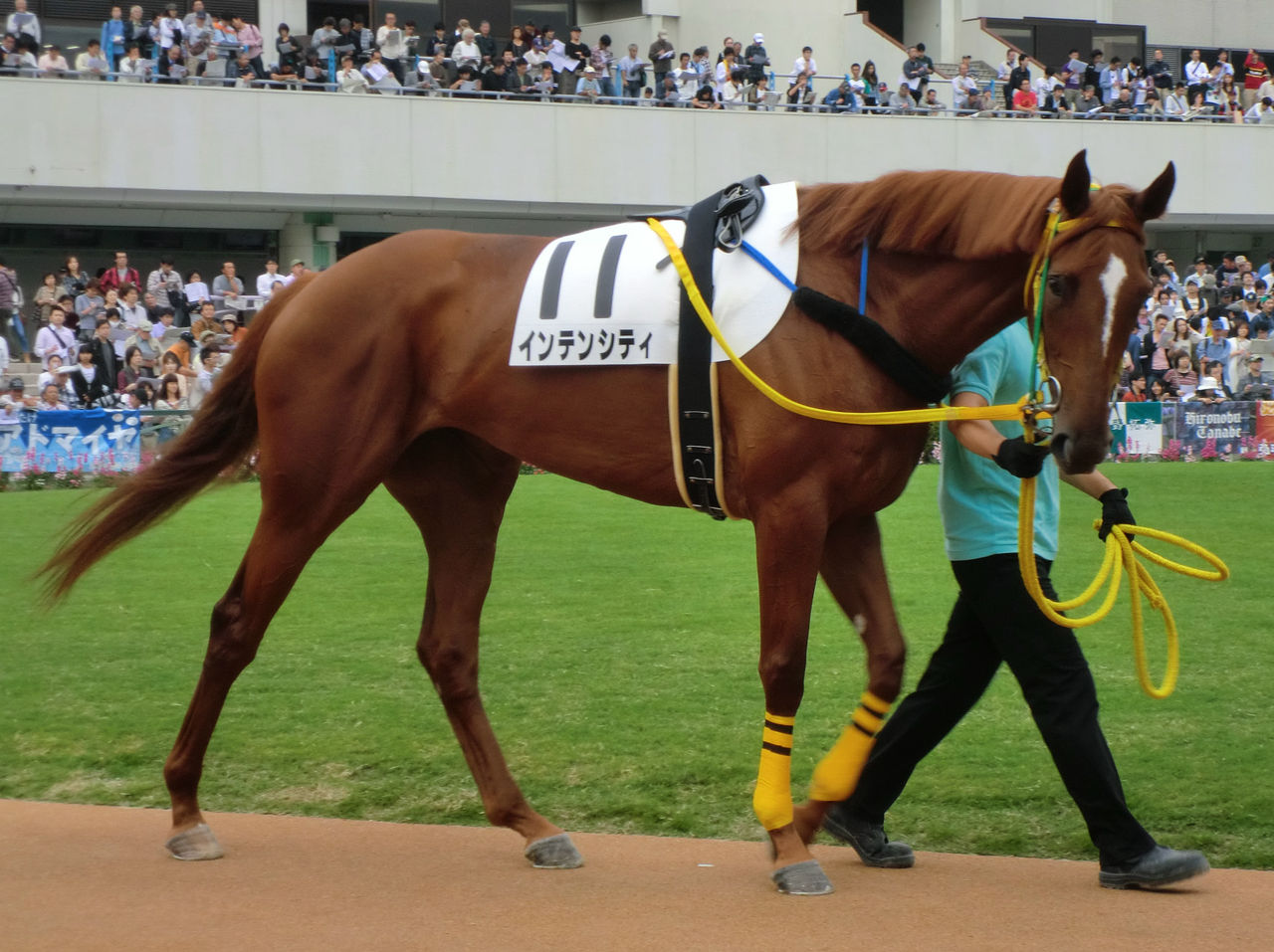 ジェンティルドンナ優勝 : atd Blog