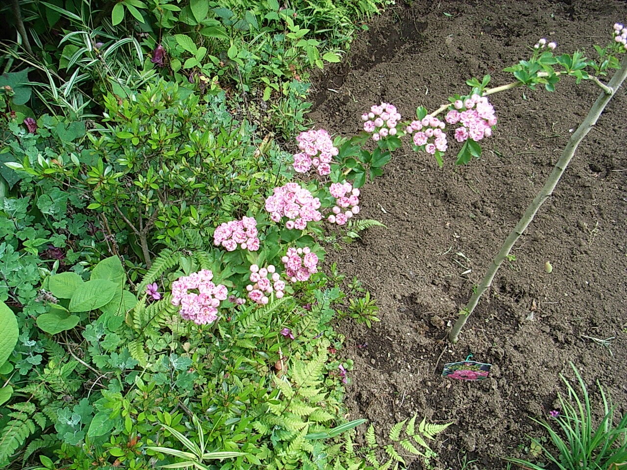 拓本飲記 中国 Livedoor Blog ブログ