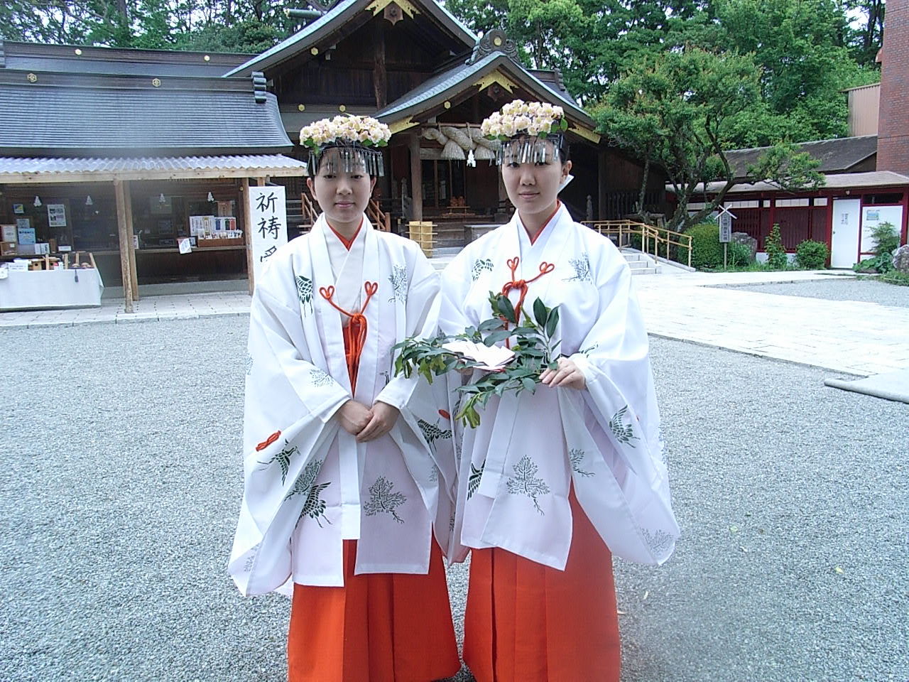 拓本飲記 巫女さん 千早 明大マンドリン Livedoor Blog ブログ 拓本飲記 巫女さん 千早 明大マンドリン Livedoor Blog ブログ