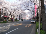 ̤ۡ080328̡