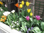 ���šʥ��塼��å�2��2011.4.22