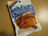 ʥܡ뷿ˡ-ȯ-