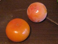 ����2009��-2