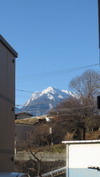 Æî¥¢¥ë¥×¥¹(20141227)