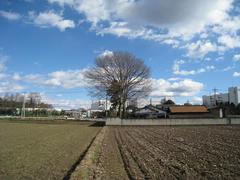 �Գ��βȡ�2010.01.02������