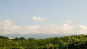 八ヶ岳(20140715)