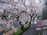 -2010̤μ2F̡04.05