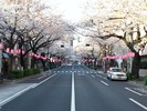 ÃæÌîÄ̤êºù2012¡ÊÆî¡Ë4.7