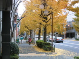 134_3456.JPG-12.11-1