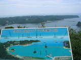 149_4944.JPG-nesugata3