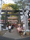 酉の市(市の酉:2010.11.7)