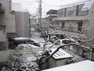 ¹ßÀãÃæ¡Ê2012.2.29¡Ë2