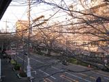 ֺ̤ס2009.03.21-