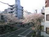 ������2007[04.04-2]