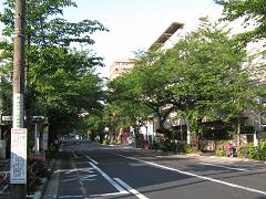 �����̤�ֺ��ס�2009.04.29-��