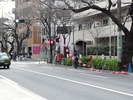 中野通り桜まつり2012(提灯設営3.19)