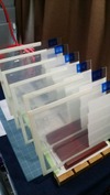 フォトフレーム(ロゴ加工)追加「マスク養生」
