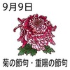 重陽(菊)の節句(9_9)