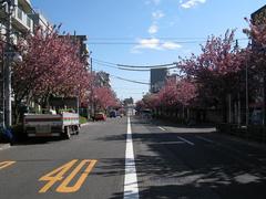 �����ڡ������̤ꡧȬ�ź�2009.04.15-1��