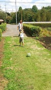 スイカ割り(20140815)そのまま前進...