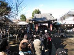 ��ء�2010.01.01��������Ҷ���