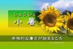 ¾®½ë