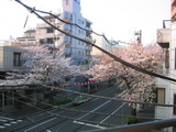 2007[03.29-2]
