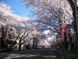 ̤080401̡
