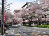 ̤080405̡