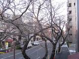 ֺ̤ס2009.03.21-