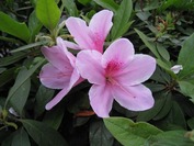 �ĥĥ�2011�������̤�2��4.18