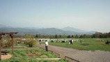 清泉寮(2011.05.21)