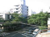[2007.08.01]