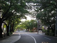 ��-2010�������̤���̡�05.15��