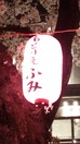 中野さくら祭2014(協賛提灯)