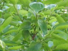 ��-2010�ʼ���05.15�βֲ�ϡ�