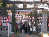 2009ҡ