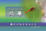 処暑