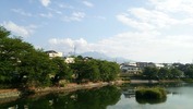 牛池桜(20140529)八ヶ岳
