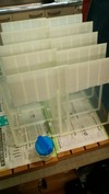 サンドブラスト作業中(フォトフレーム)徳乃蔵仕様「糊塗布」
