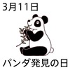 11パンダ発見の日(0311)
