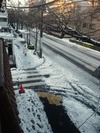 中野通り「雪」(2013.1.15)南