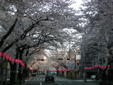 141_4155.JPG-06.04.01