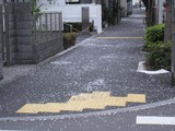 桜2011(中野通り:歩道)4.9