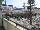 141_4188.JPG-06.04.06