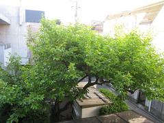 ��-2010�ʼ���05.15��