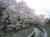 ��2007[ů��Ʋ04.04-1]