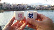 長坂夜桜まつり(試飲用猪口)