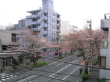 2007[03_27]